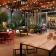 Moxy Austin - University thumbnail