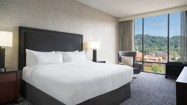 Renaissance Asheville Downtown Hotel photo