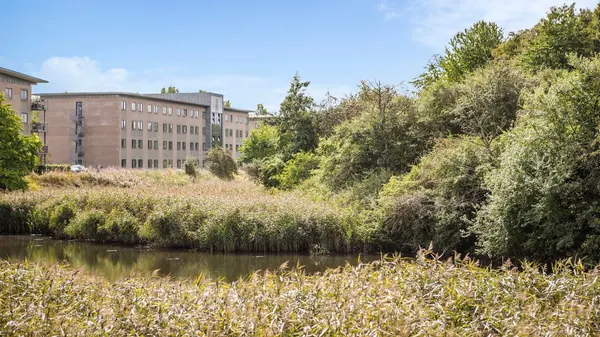 Four Points Flex by Sheraton Ballerup photo
