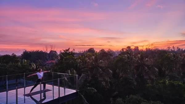 Element Bali Ubud photo