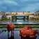 Sheraton Grand Chennai Resort & Spa thumbnail