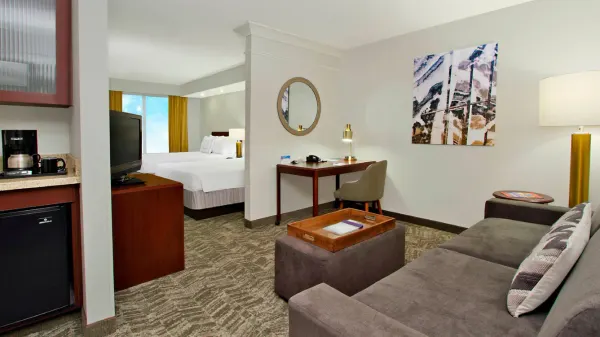 SpringHill Suites by Marriott Chesapeake Greenbrier photo