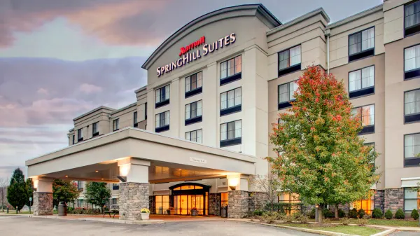 SpringHill Suites by Marriott Wheeling Triadelphia Area image