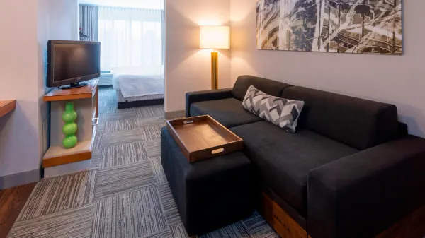 SpringHill Suites by Marriott Rochester Mayo Clinic Area/Saint Marys image