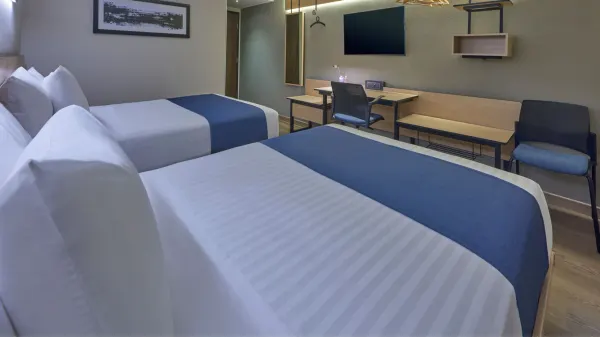 City Express by Marriott Tijuana El Florido photo