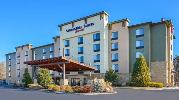SpringHill Suites by Marriott Pigeon Forge photo