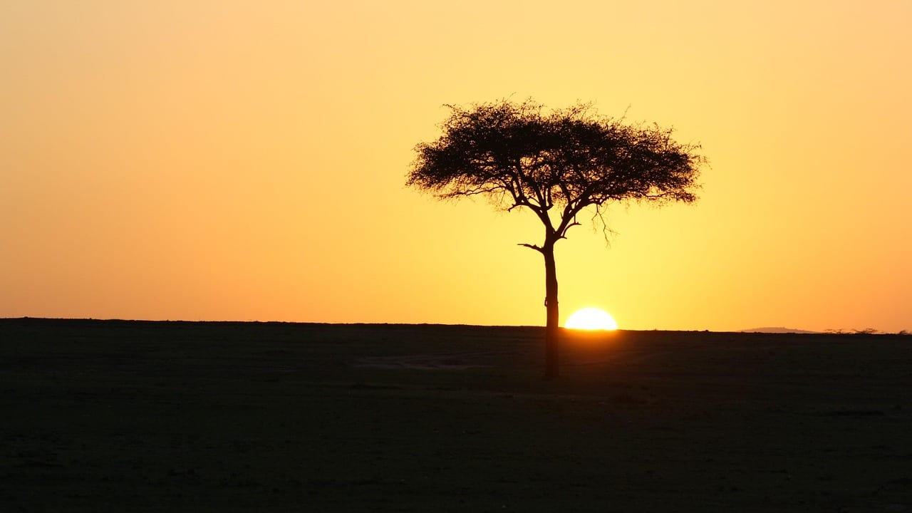 Masai Mara, Kenya, Kenya travel weather guide