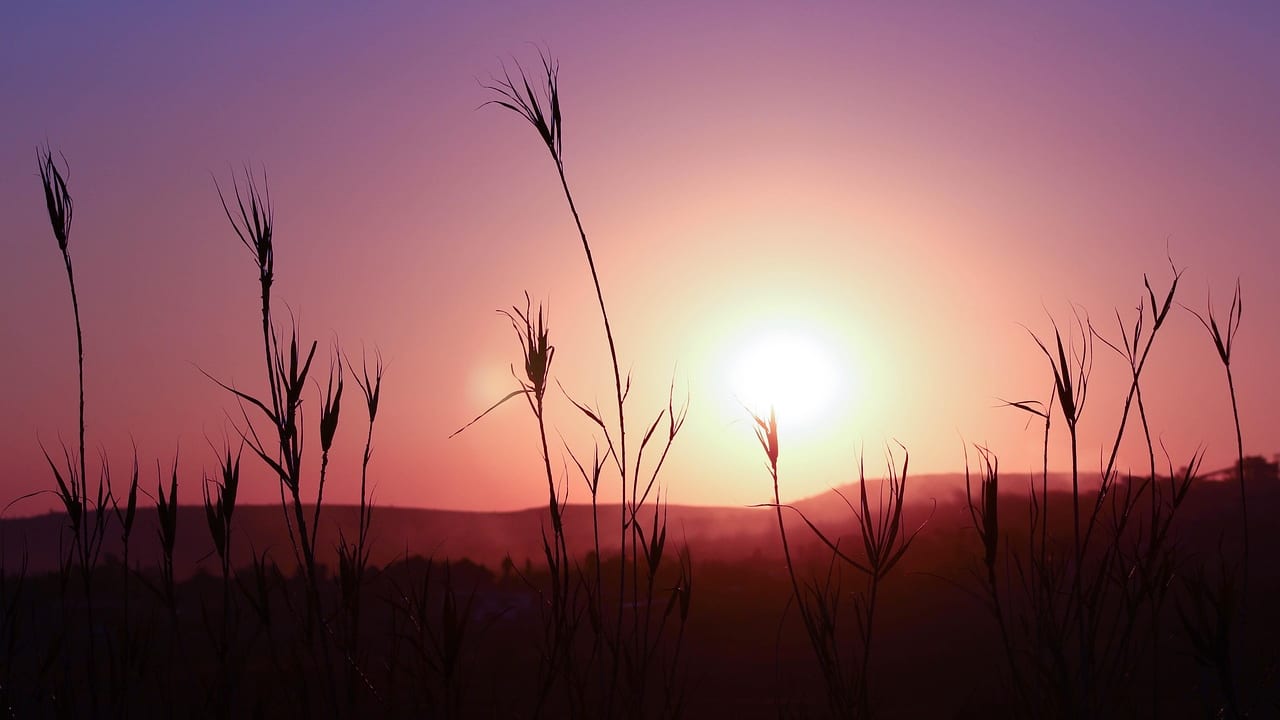 Pretoria, Gauteng, South Africa, South Africa travel weather guide