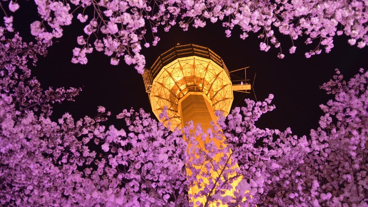 Daegu, South Korea, South Korea travel weather guide