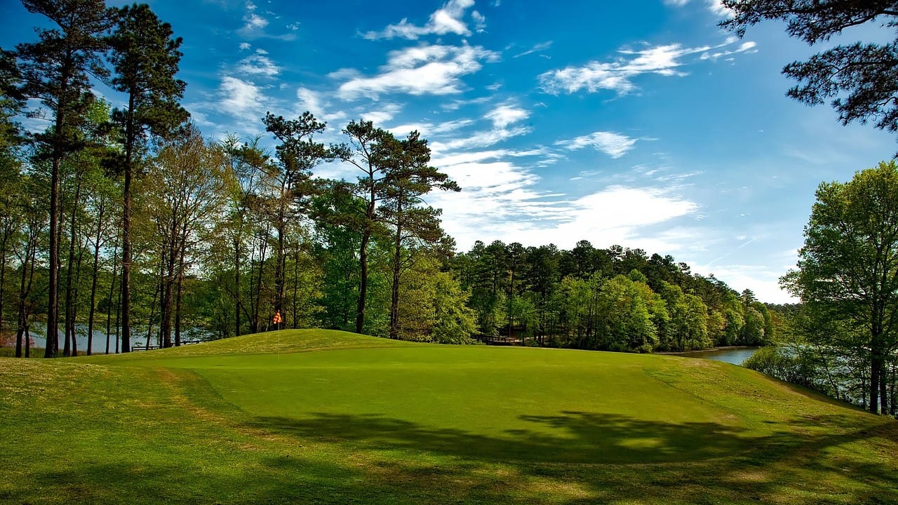 Opelika, Alabama, United States, United States travel weather guide