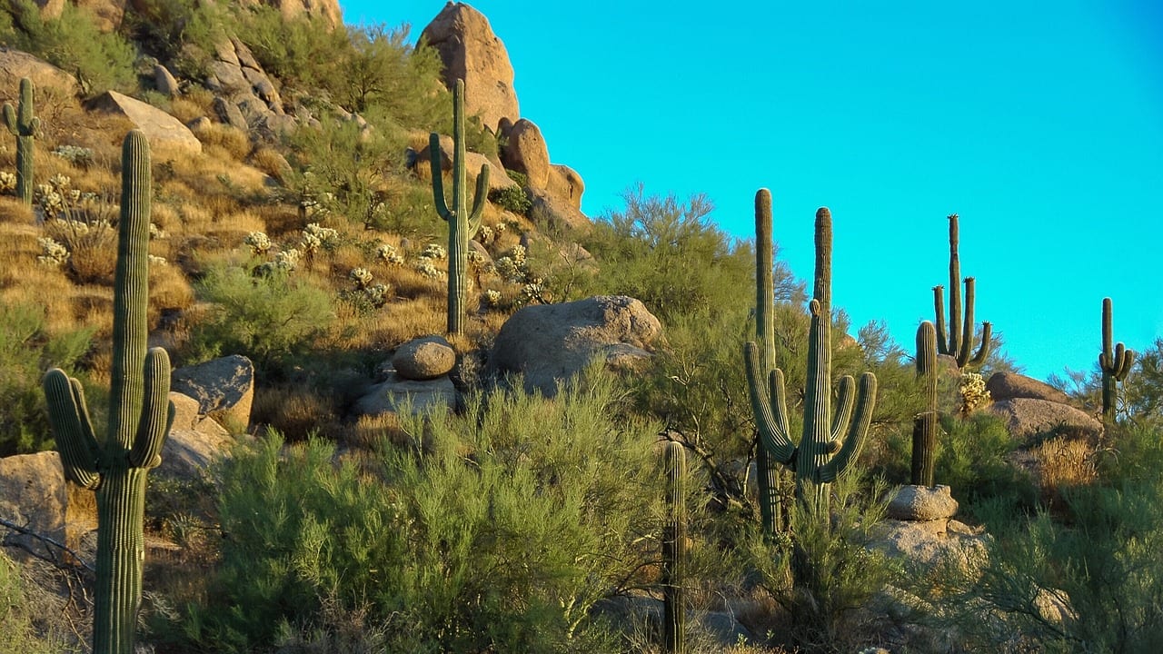 Phoenix, Arizona, United States, United States travel weather guide