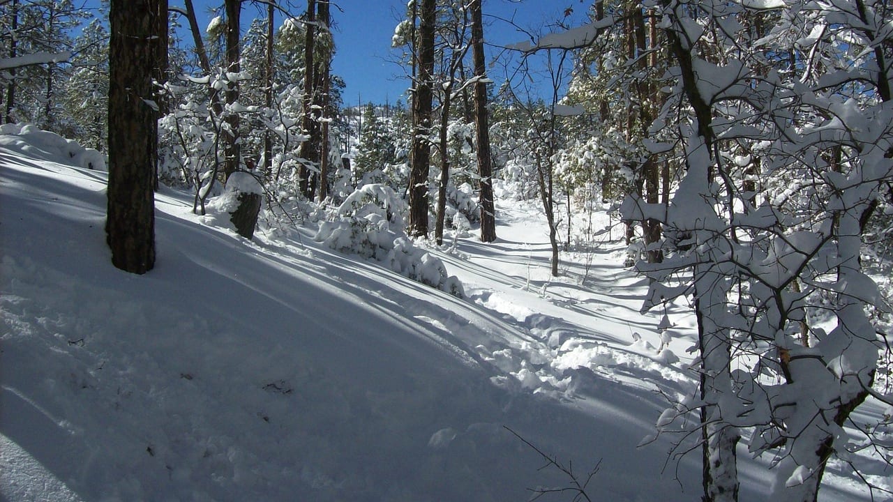 Prescott, Arizona, United States, United States travel weather guide