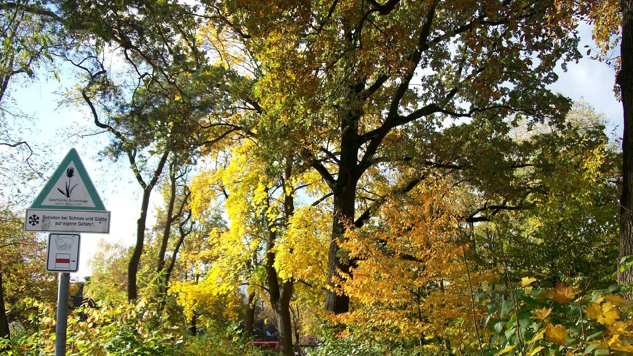 Forrest City, Arkansas, United States, United States travel weather guide