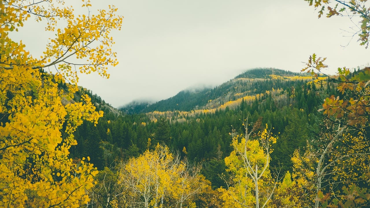 Steamboat Springs, Colorado, United States, United States travel weather guide