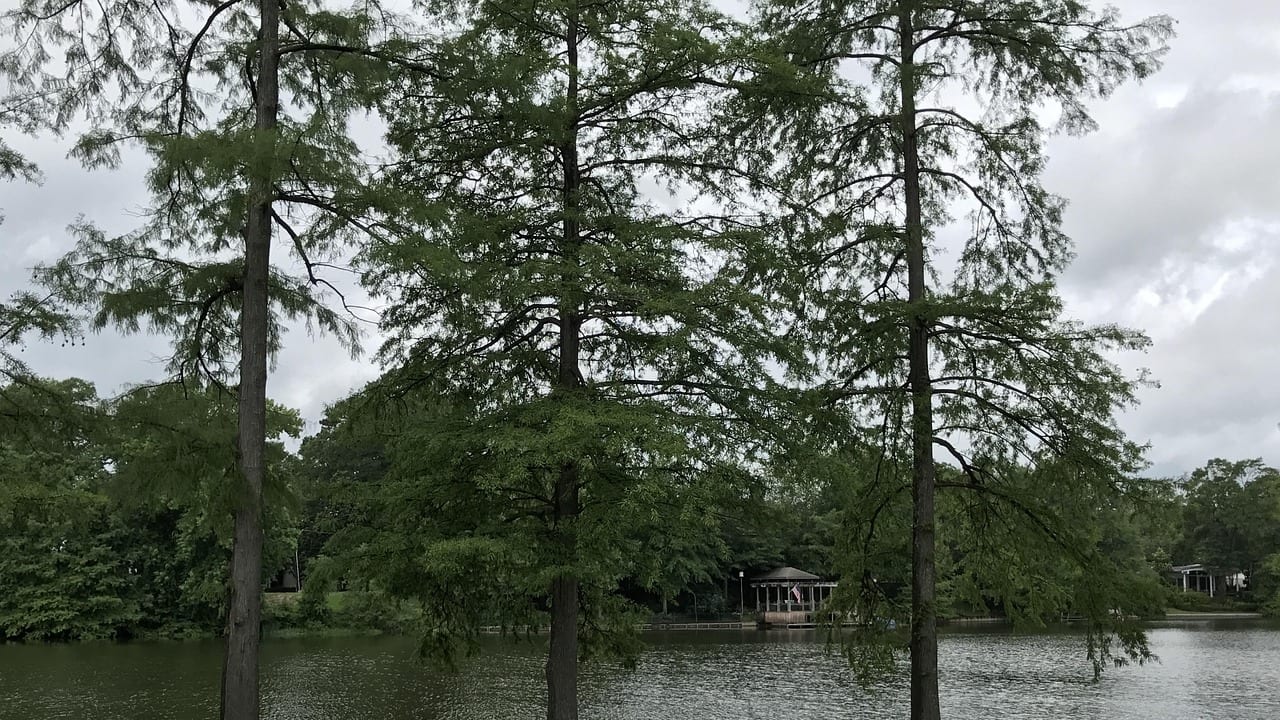 Monroe, Louisiana, United States, United States travel weather guide