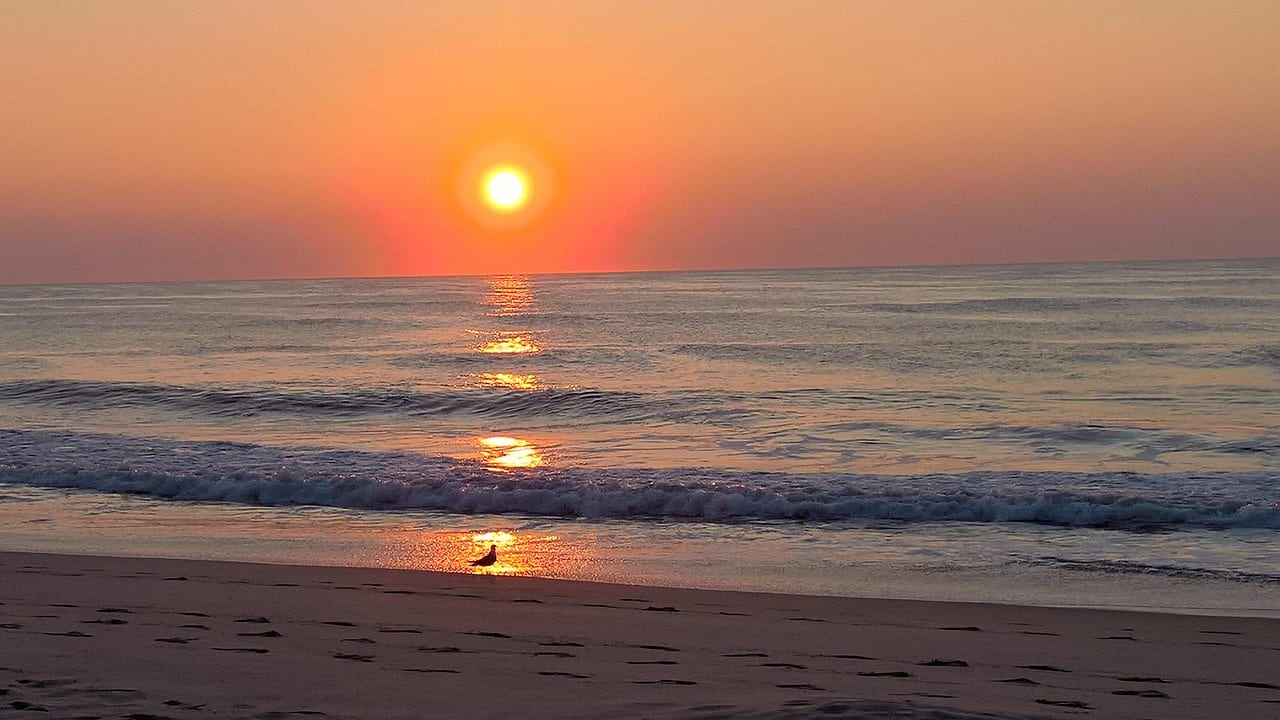 Ocean City, Maryland, United States, United States travel weather guide