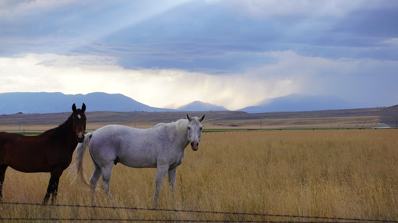 Big Sky, Montana, United States, United States travel weather guide