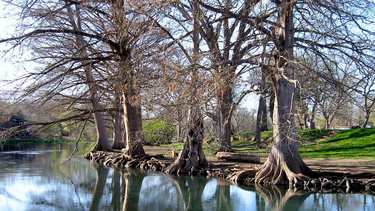 Cypress, Texas, United States, United States travel weather guide