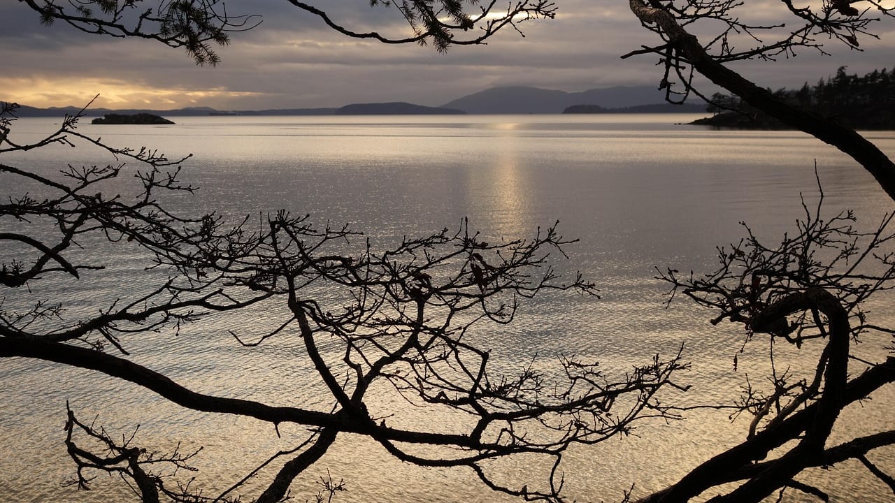 Bellingham, Washington, United States, United States travel weather guide