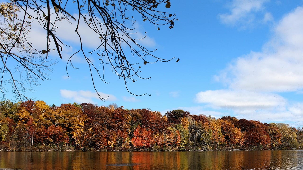 Appleton, Wisconsin, United States, United States travel weather guide