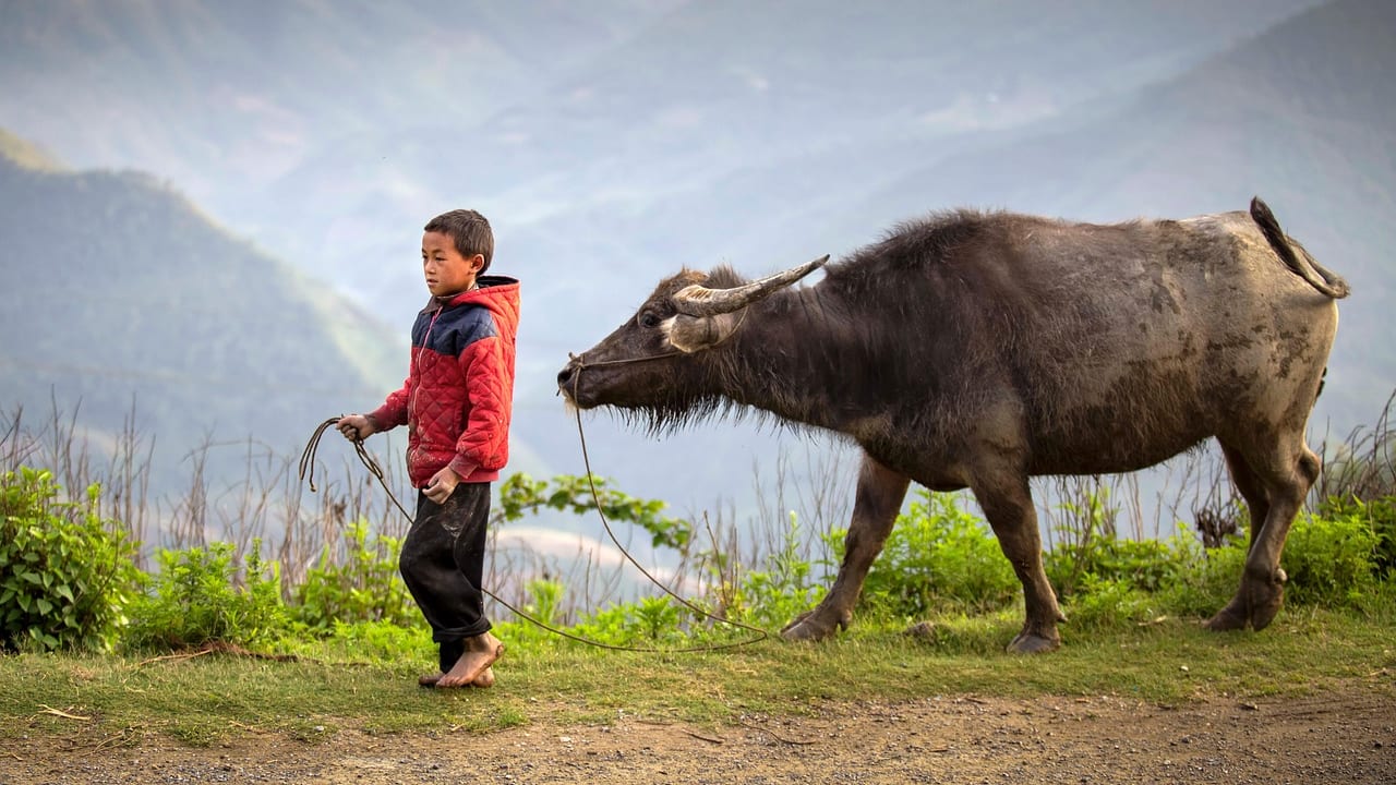 Ha Giang, Vietnam, Vietnam travel weather guide